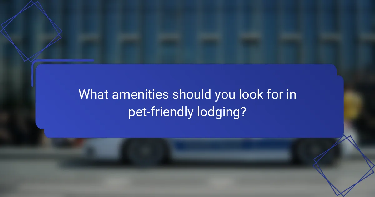 What amenities should you look for in pet-friendly lodging?