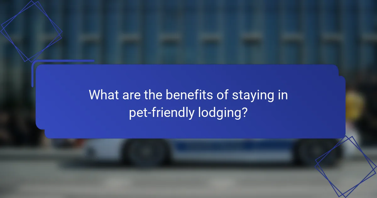 What are the benefits of staying in pet-friendly lodging?