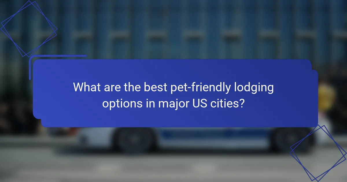 What are the best pet-friendly lodging options in major US cities?